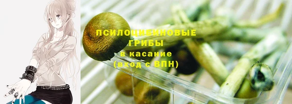 2c-b Алексин
