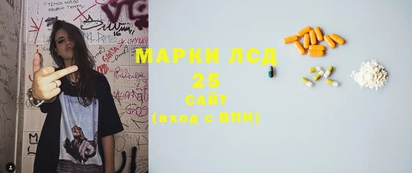 прущие грибы Алзамай