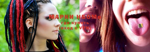 прущие грибы Алзамай