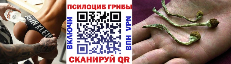 Галлюциногенные грибы GOLDEN TEACHER MEGA как войти Щёлкино купить наркотик